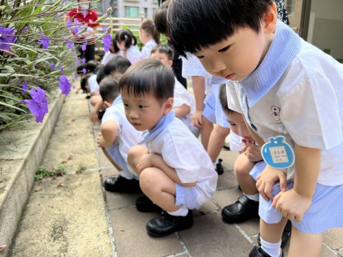 K1級秋遊志學園